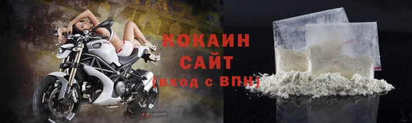 ешки Ельня