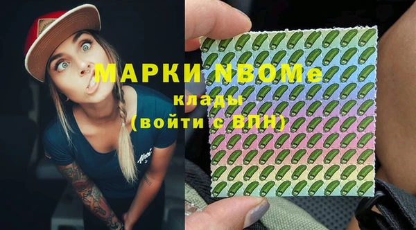 молекула духа Снежногорск