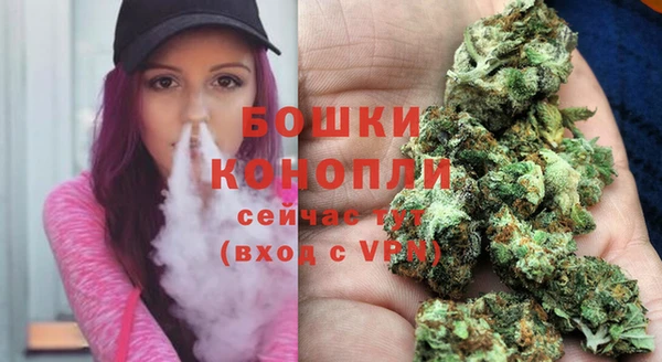 ешки Ельня