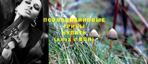 ешки Ельня