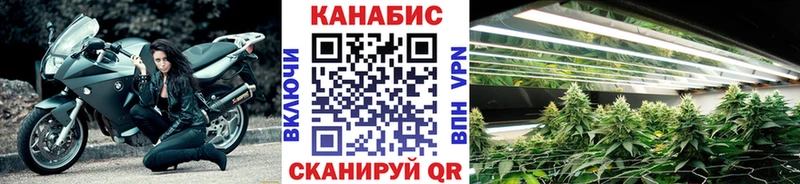 МАРИХУАНА план  ссылка на мегу ссылка  дарк нет Telegram  Дегтярск 